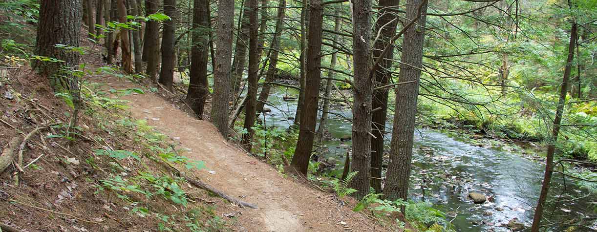 NH State Parks - Bear Brook State Park