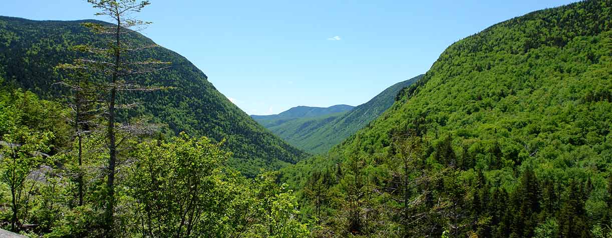 NH State Parks Crawford Notch State Park