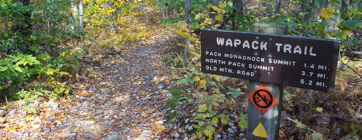 Wapack 2025 trail camping