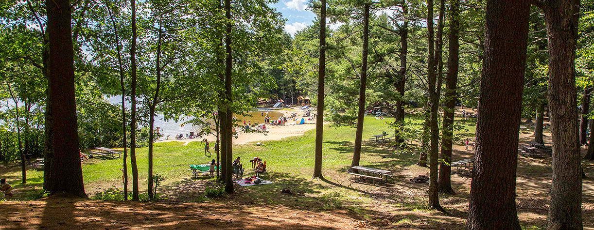 Kingston State Park: Your Gateway to New Hampshire's Natural Wonders