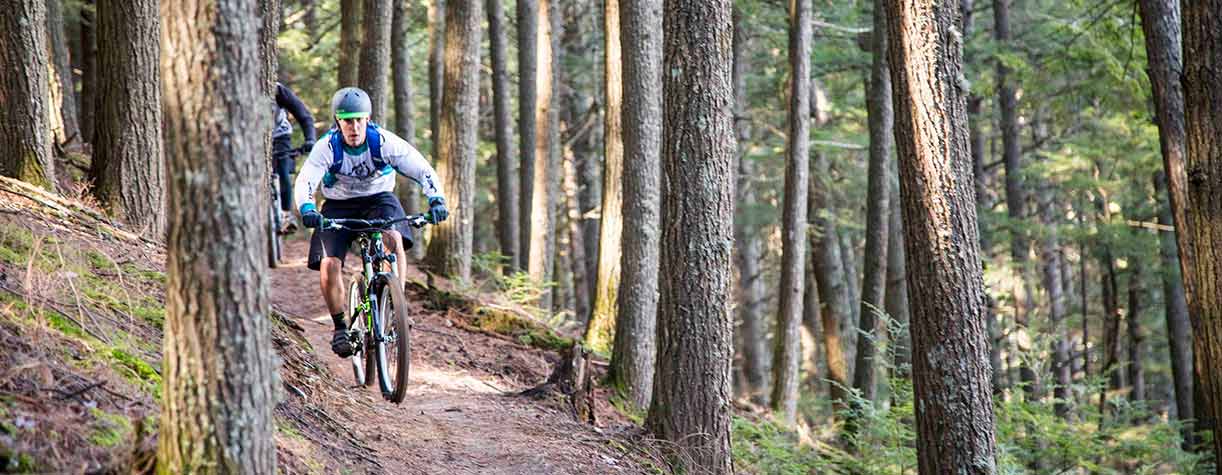 Bear brook state discount park mountain biking