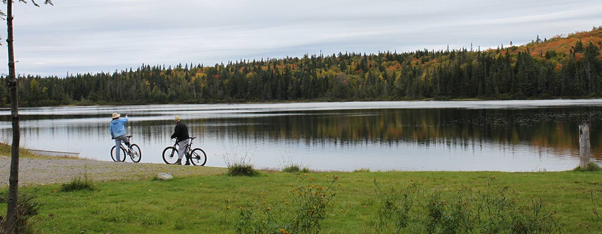 Escape to Serenity: Your Guide to Coleman State Park, NH