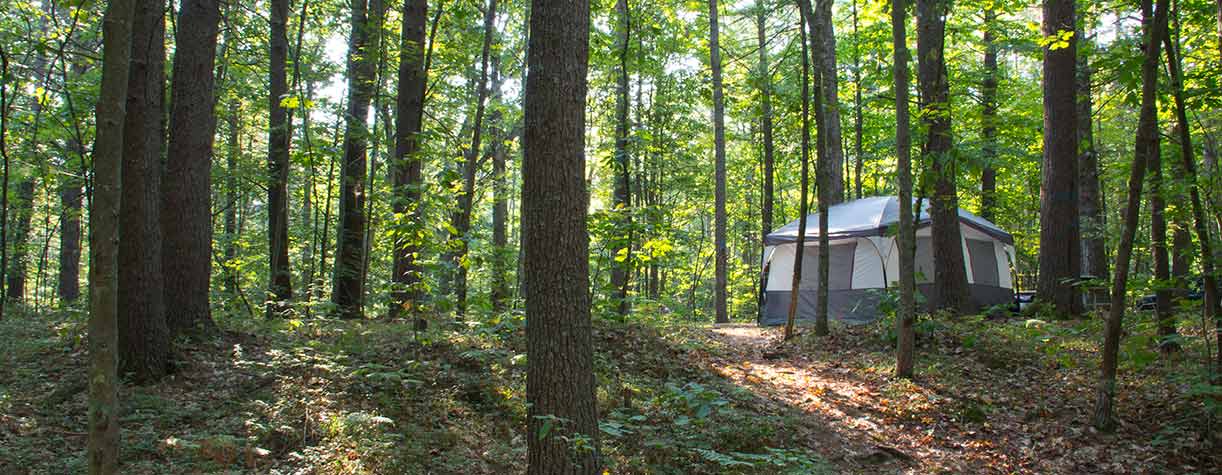 NH State Parks - Greenfield State Park