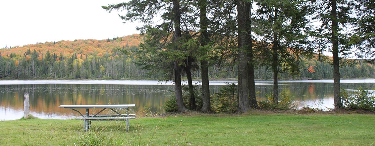 NH State Parks - Coleman State Park