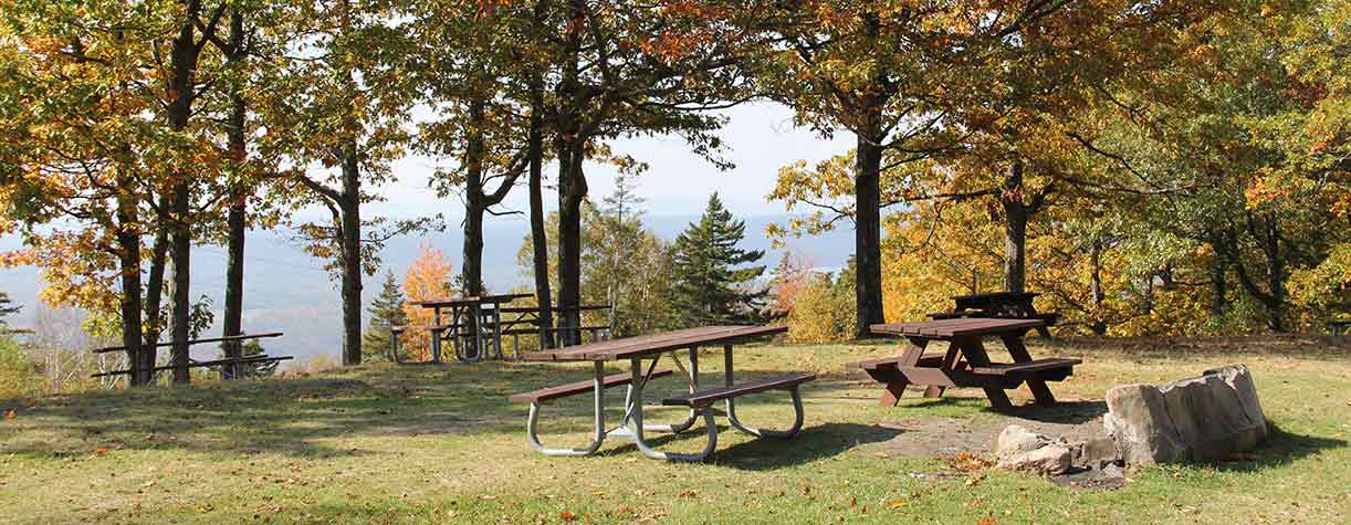 Escape To Serenity: Discover The Hidden Gem Of Winslow State Park