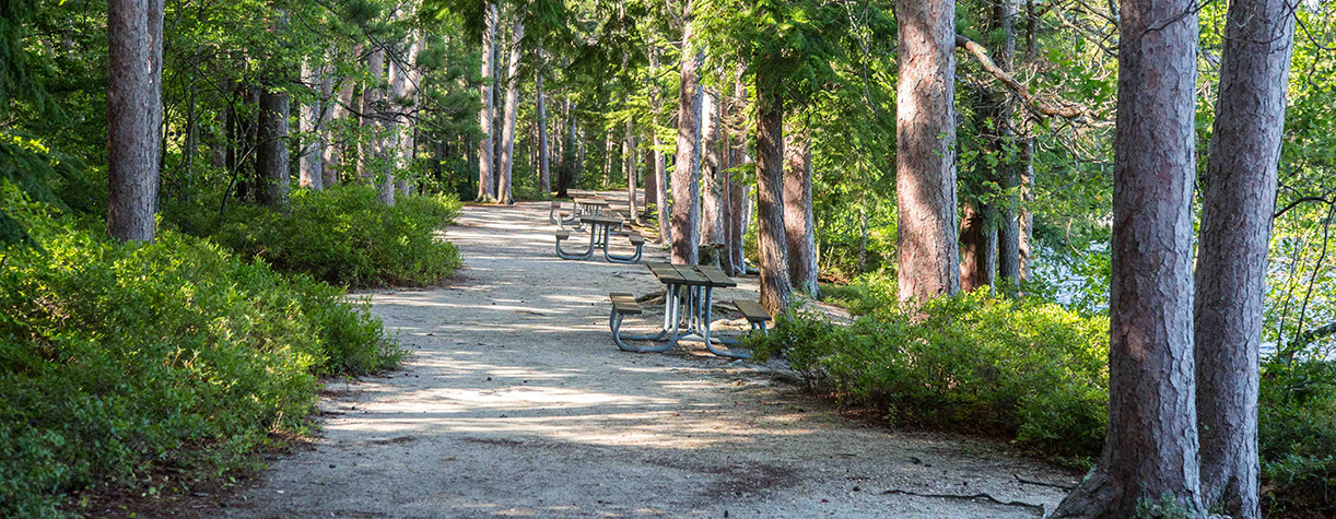 Escape to Serenity: Wadleigh State Park, New Hampshire's Hidden Gem